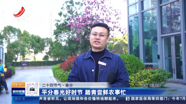 【二十四节气·春分】平分春光好时节 踏青尝鲜农事忙