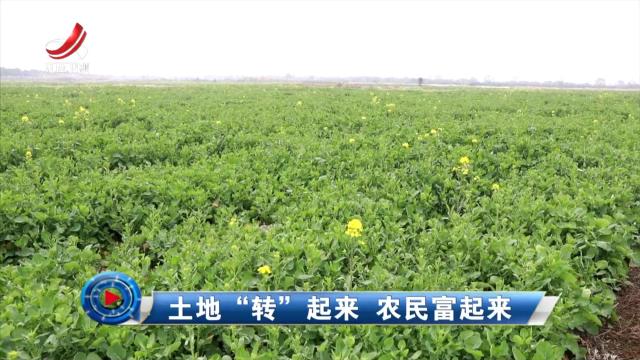 社会传真20250317 土地“转”起来 农民富起来