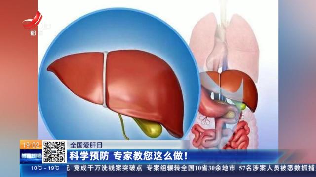 【全国爱肝日】科学预防 专家教您这么做！