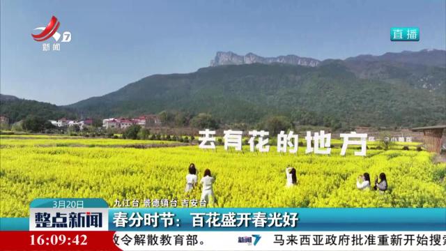 春分时节：百花盛开春光好