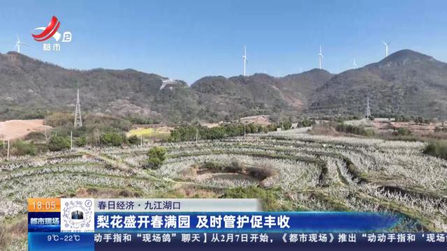 【春日经济·探春】小山村变网红村——流坑古村
