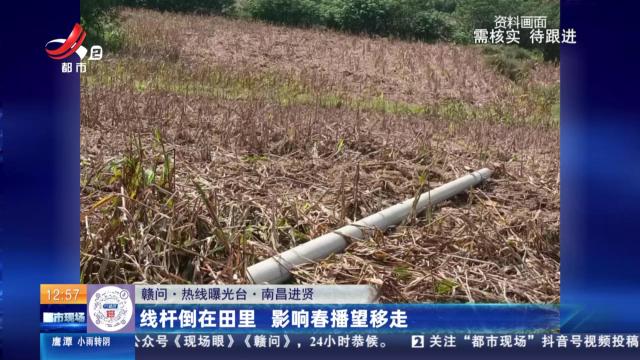 【赣问·热线曝光台】南昌进贤：线杆倒在田里 影响春播望移走
