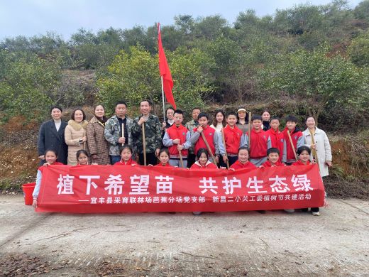 宜春宜丰：植下希望苗 共护生态绿