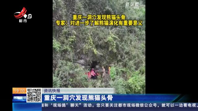 重庆一洞穴发现熊猫头骨