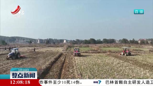 整点新闻20250316 12:00