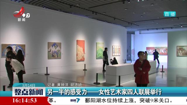 另一半的感受力——女性艺术家四人联展举行