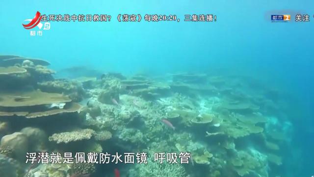 安全提醒——浮潜看似简单实则危险 下潜前需做好专业准备工作