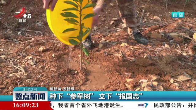 【植新苗 添新绿】种下“参军树” 立下“报国志”