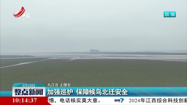 加强巡护 保障候鸟北迁安全