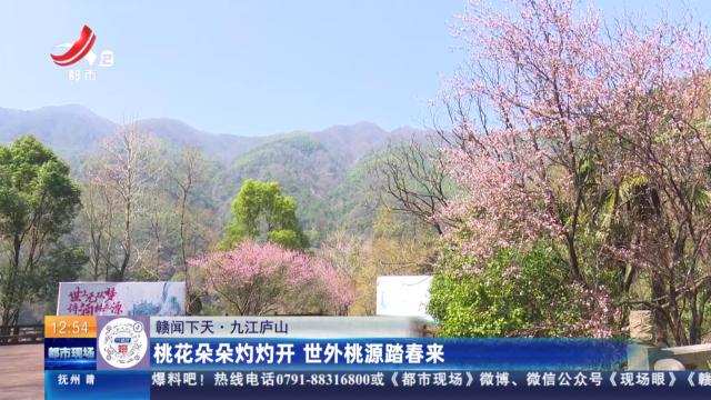 【赣闻天下】九江庐山：桃花朵朵灼灼开 世外桃源踏春来