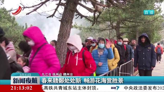 春来赣鄱处处新 畅游花海赏胜景
