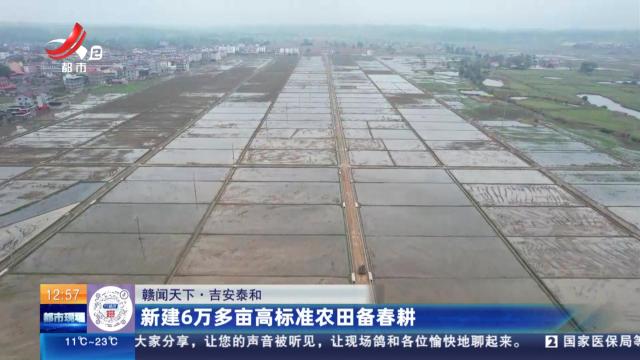 【赣闻天下】吉安泰和：新建6万多亩高标准农田备春耕