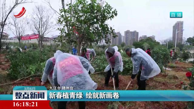 新春植青绿 绘就新画卷