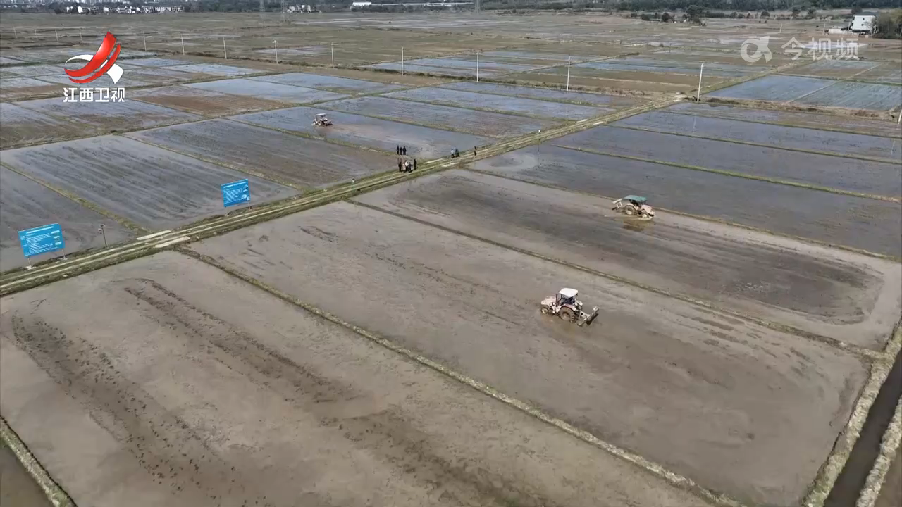 建设“两片” 推动粮油作物大面积单产提升