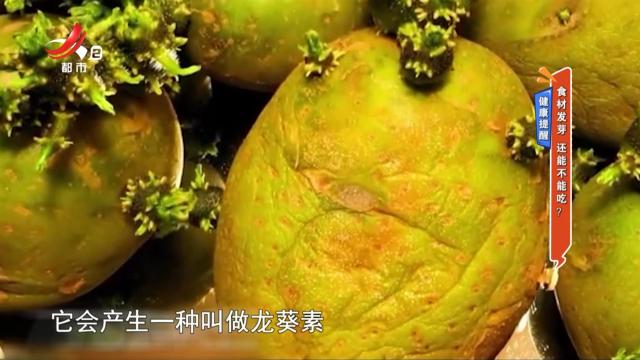 健康提醒——食材发芽 还能不能吃？