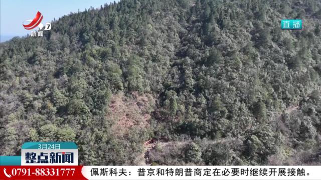 珍稀濒危植物小溪洞杜鹃实现野外回归种植