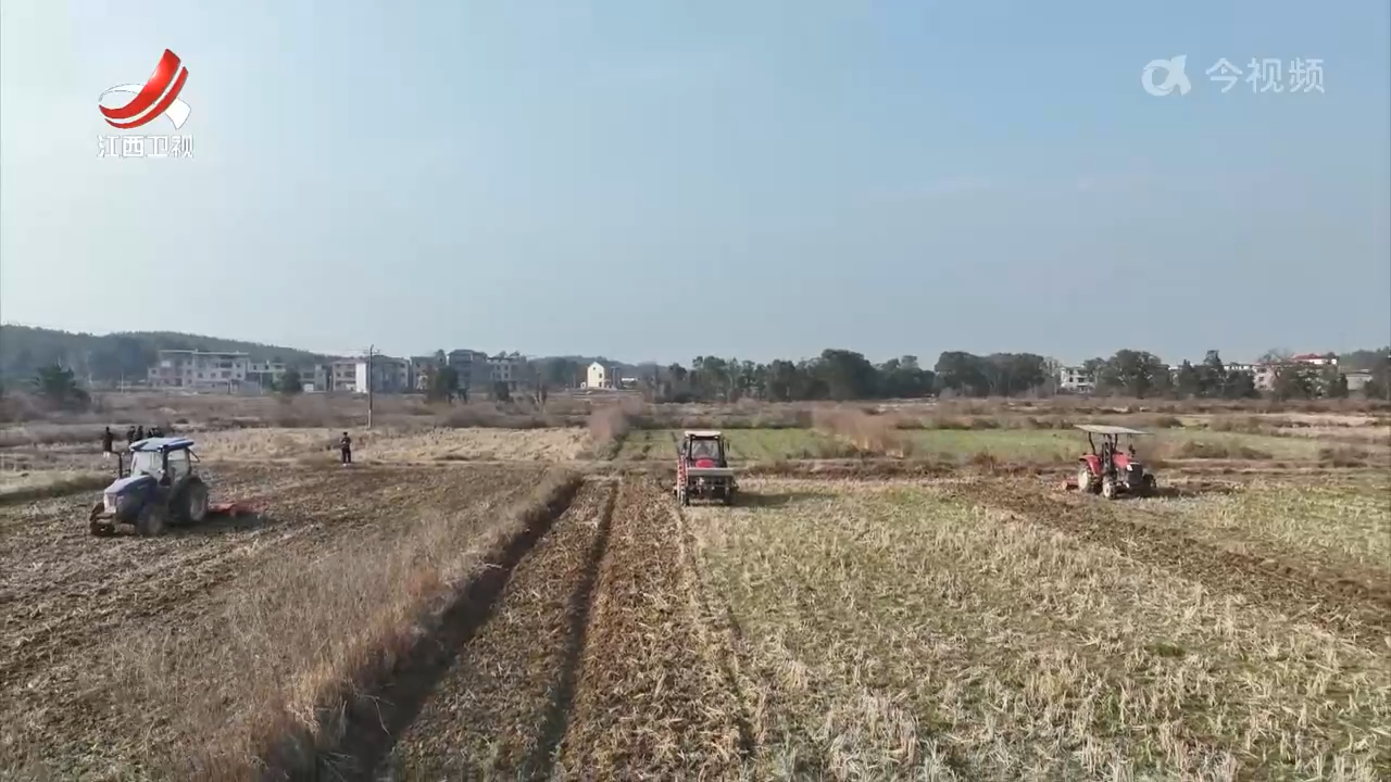 春耕见闻：社会化服务助力农户增产增收