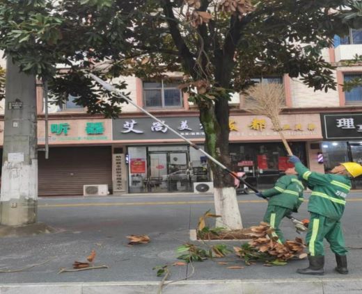 江西万载：修剪树枝除隐患 一心为民保安全