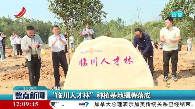 “临川人才林”种植基地揭牌落成
