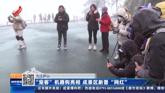 九江庐山：“宠客”机器狗亮相 成景区新晋“网红”