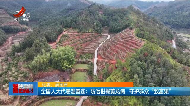 新闻晚高峰20250310