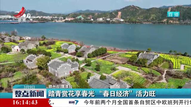 踏青赏花享春光 “春日经济”活力旺