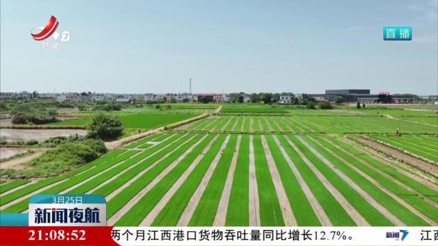 新闻夜航20250325