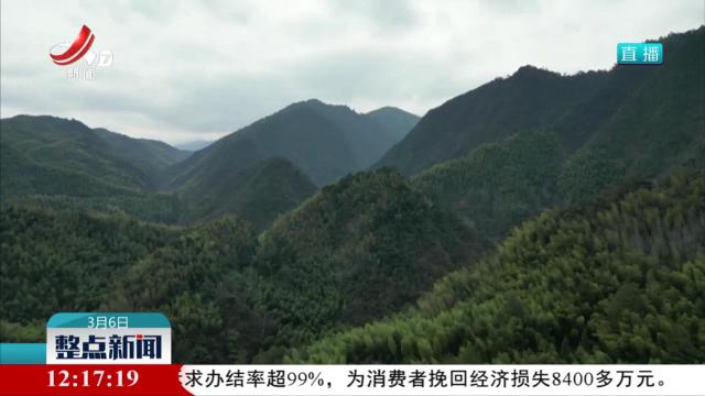 铜钹山国家级自然保护区发现蜘蛛新物种