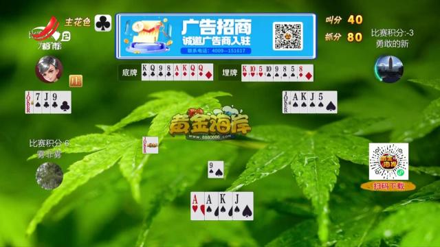 谁是赢家20250304