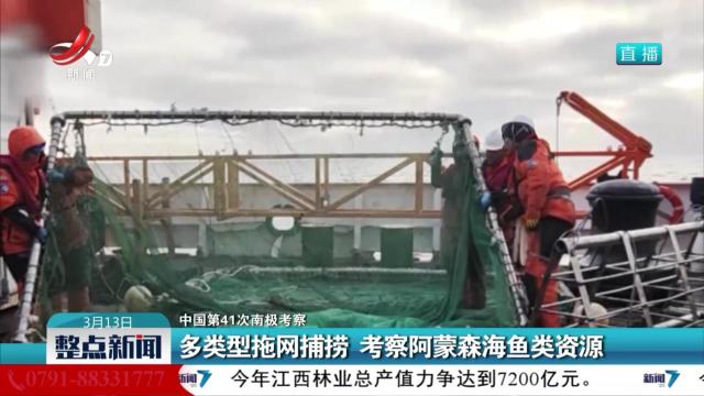 【中国第41次南极考察】多类型拖网捕捞 考察阿蒙森海鱼类资源