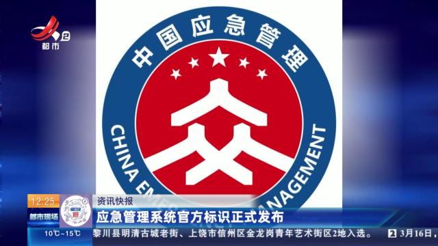 应急管理系统官方标识正式发布
