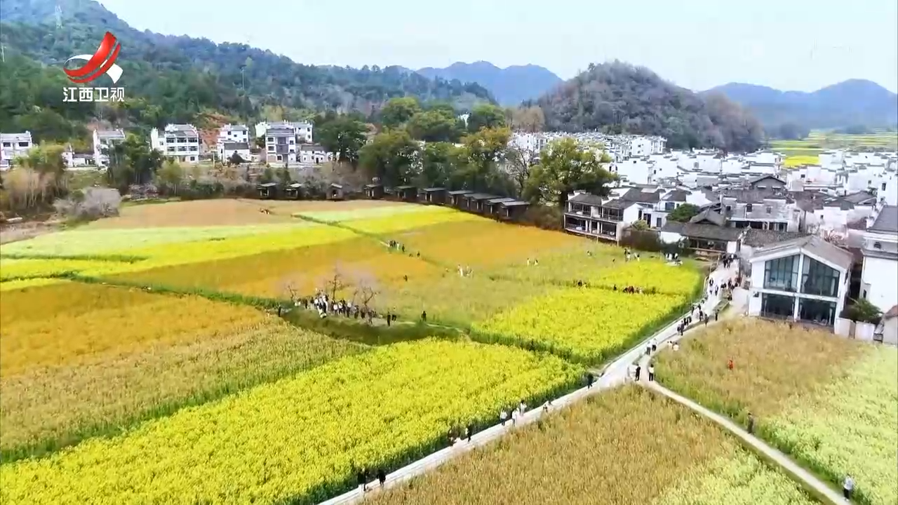 江西新闻联播20250326