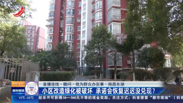 【直播连线·赣问·我为群众办实事】南昌东湖：小区改造绿化被破坏 承诺会恢复迟迟没兑现？