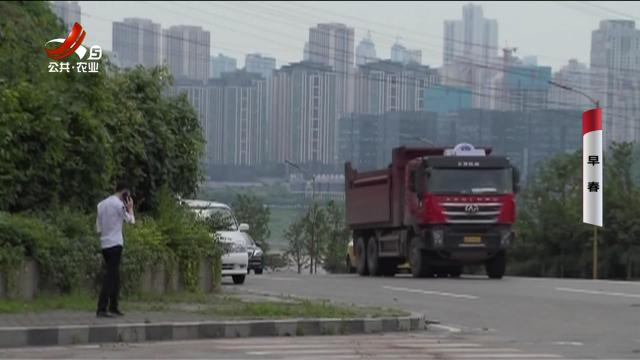 乡村栏目剧场20250326 早春