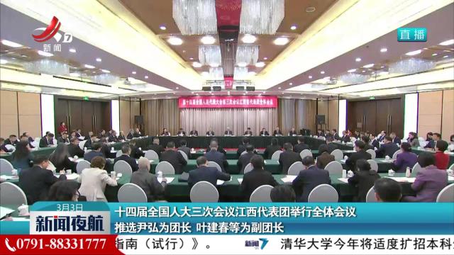十四届全国人大三次会议江西代表团举行全体会议 推选尹弘为团长 叶建春等为副团长