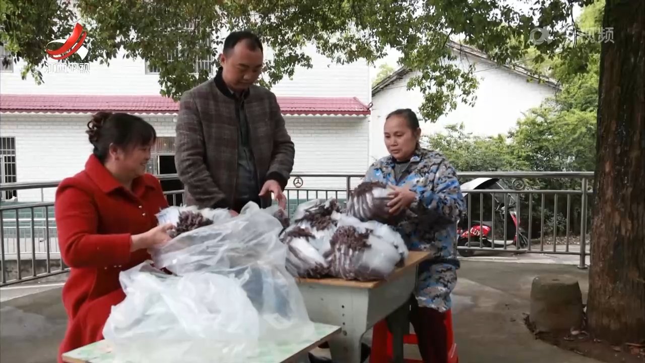 【稳就业 惠民生 促发展】发展庭院经济 促进就业增收