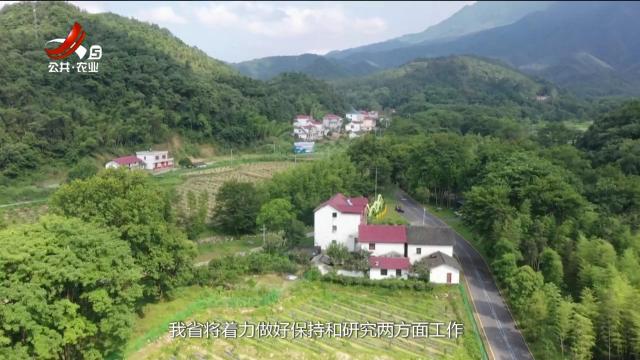 赣出精彩20250321