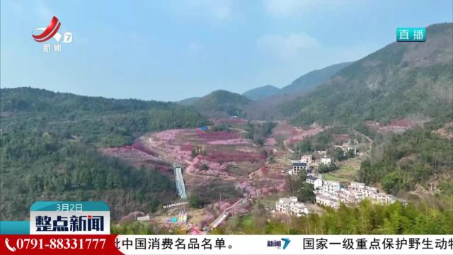 踏春赏景春意浓