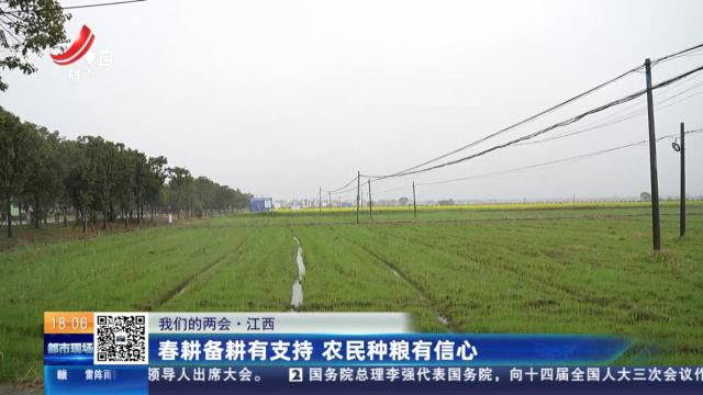 都市现场20250305