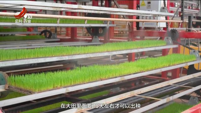 三农头条20250317