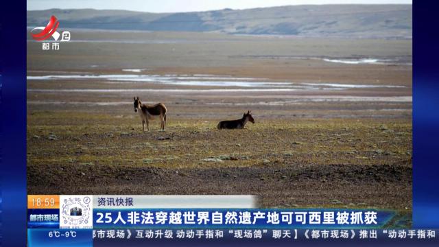 25人非法穿越世界自然遗产地可可西里被抓获