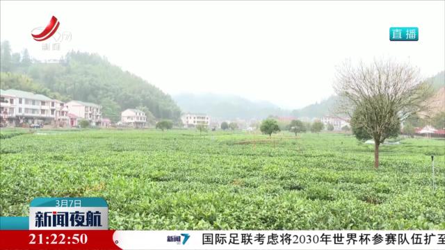 陈兴超在吉安市调研