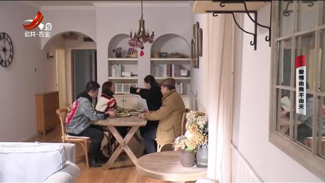乡村栏目剧场20250315 爱情由我不由天