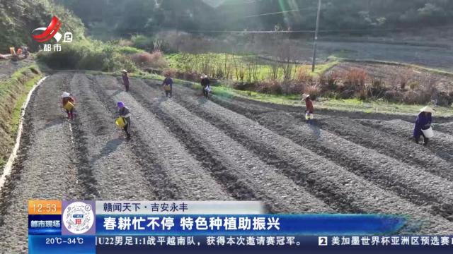 【赣闻天下】吉安永丰：春耕忙不停 特色种植助振兴