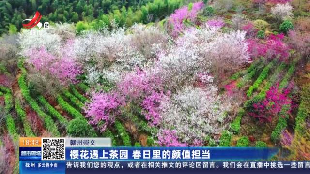 都市现场20250306