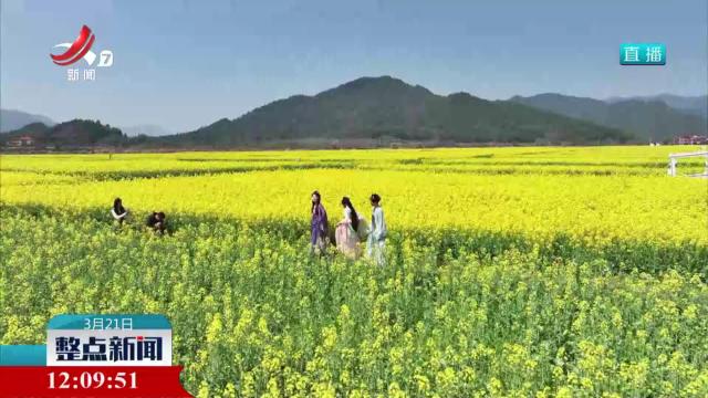三月春光芳菲绽 正是踏青赏花时