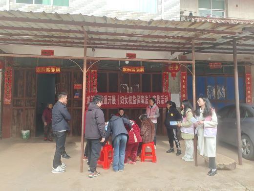 丰城市龙津洲街道开展《中华人民共和国妇女权益保障法》宣传活动