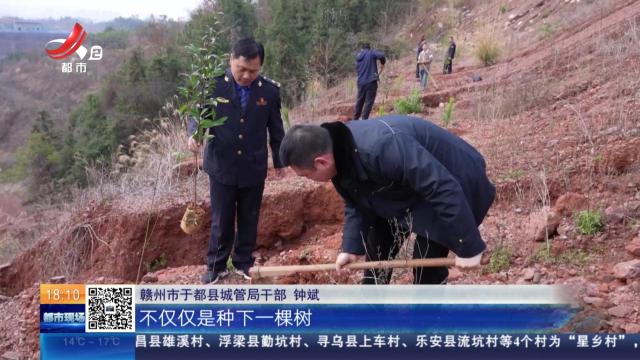 赣州于都：党员干部齐上阵 春季植树添新绿