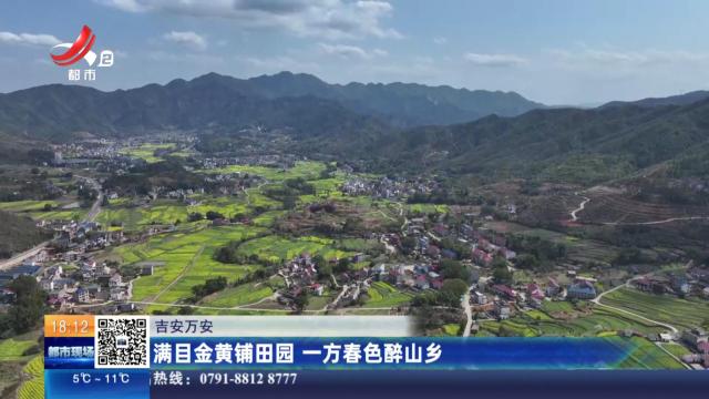 吉安万安：满目金黄铺田园 一方春色醉山乡