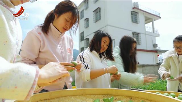 赣州崇义：春日尝鲜 舌尖上的客家韵味